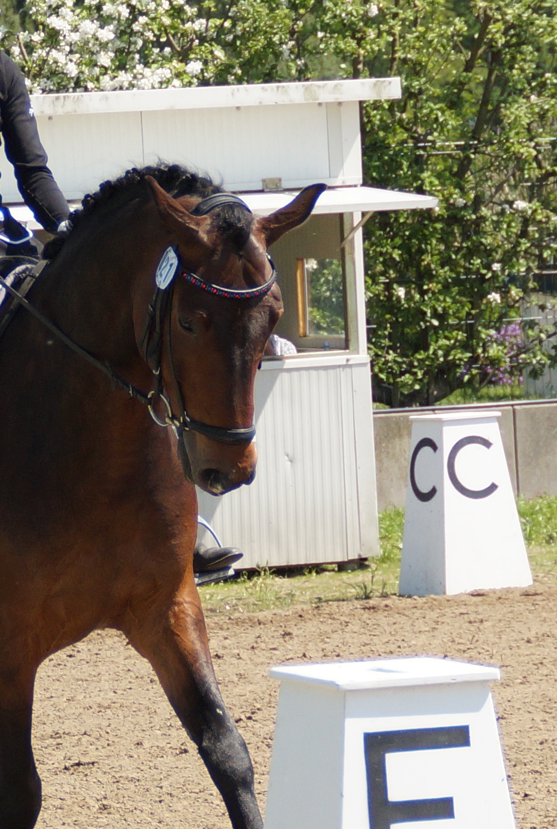 During our test in Bruckhausen