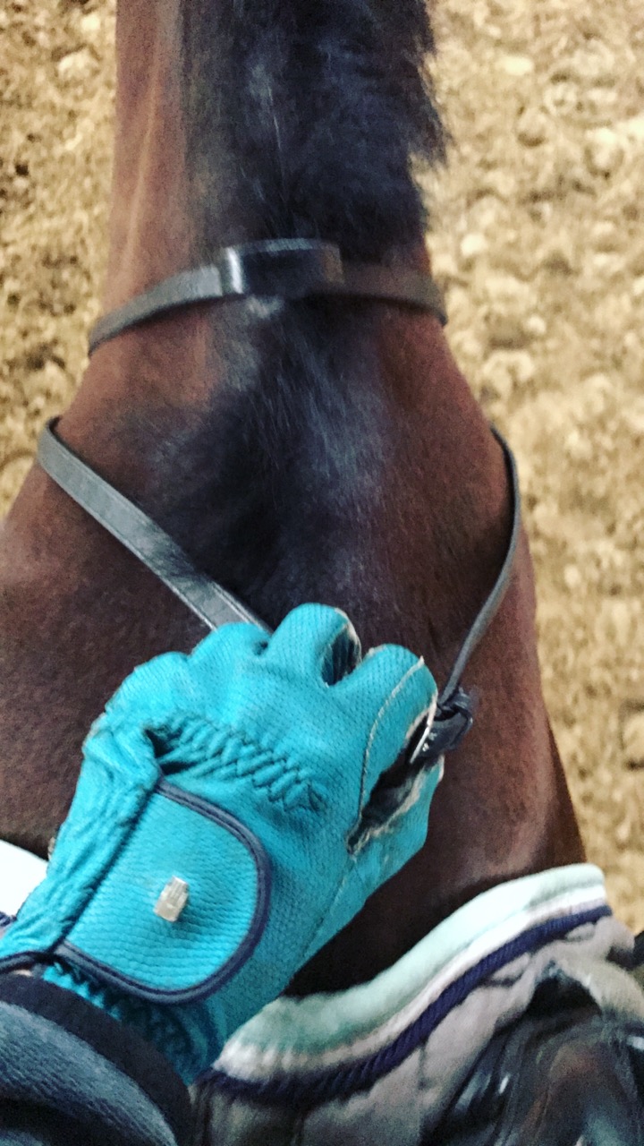 My everyday riding equipment featuring Roekl Gloves.