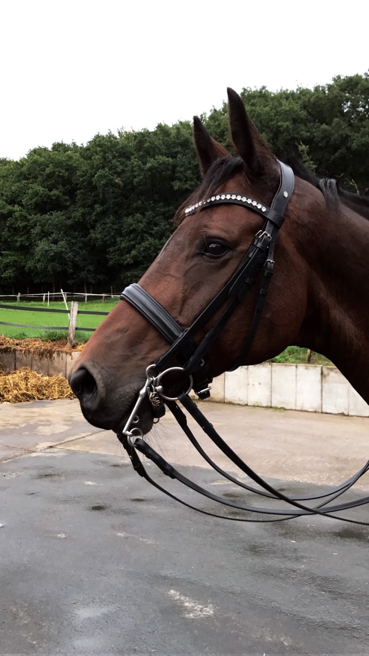 Before Training at home