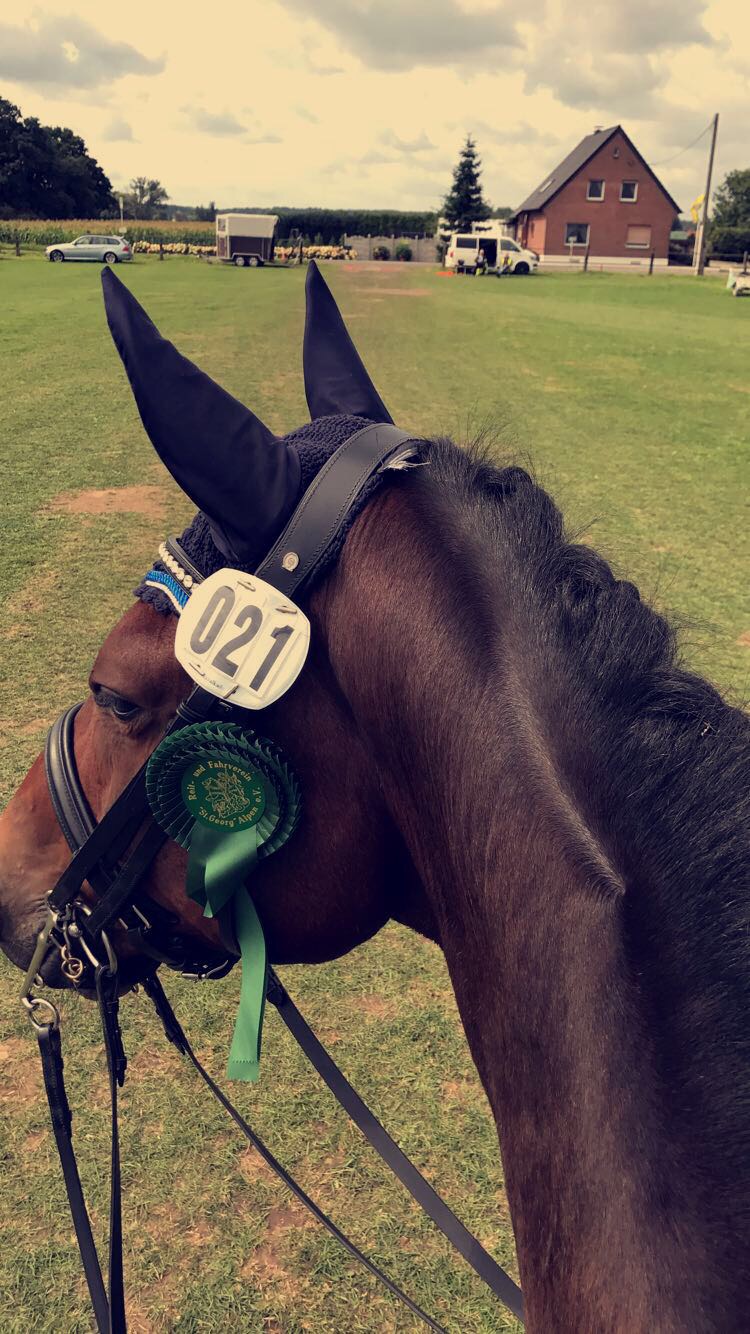 On competition after being placed 7th on L-Level